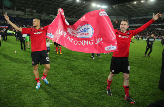 的顽强意志 的顽强意志